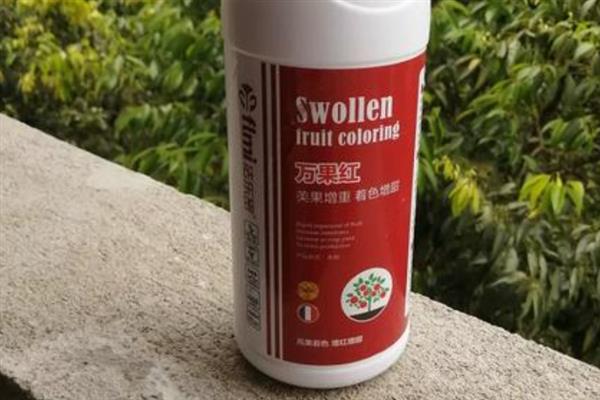 沃柑保果难的原因，可能是春梢萌发期没有注意疏梢