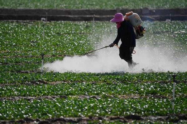 青菜的分类，分为根、茎、叶、花、果多种种类