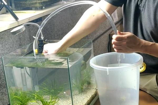 鱼的眼睛出现白膜是否会传染，一般是患有蒙眼病、具有传染性