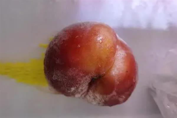 南方桃子哪个品种好吃，常见的有临风2号、胭脂脆桃等