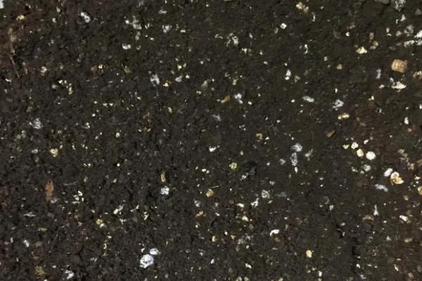 怎么养宝莲灯花,生长期要及时追施氮磷钾肥