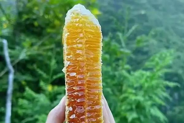 土蜂蜜的保质期是多久，实际上并没有严格意义的保质期