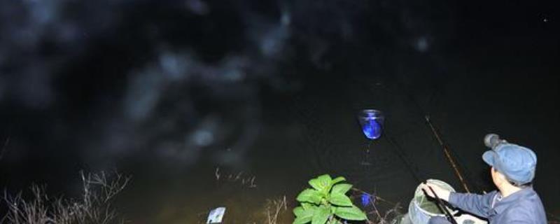 晚上钓鲫鱼要不要灯光，开灯既能照明又能吸引鱼儿