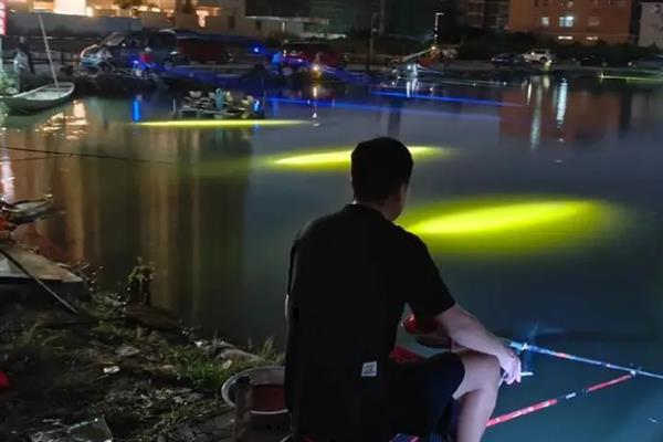 晚上钓鲫鱼要不要灯光，开灯既能照明又能吸引鱼儿
