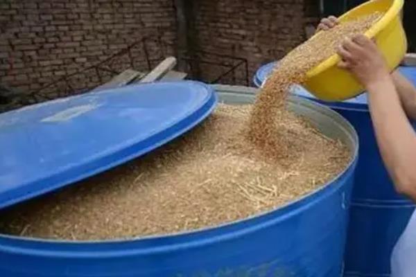 小麦种子分为哪几个部分，主要由胚、胚乳和种皮组成