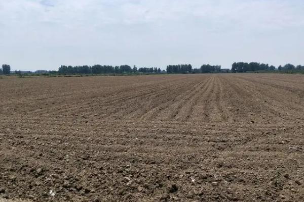 耕地和基本农田有什么区别，前者指用来耕耘的土地、后者指高产优质的耕地