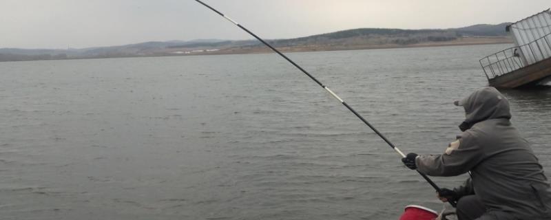 海竿轮的简介，是一种组成海竿的组件