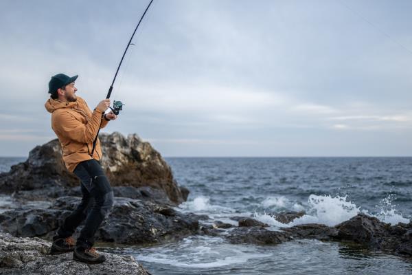 海竿轮的简介，是一种组成海竿的组件