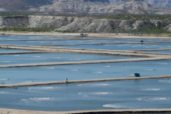 鱼塘一次用多少复合肥肥水，每亩要用7.5公斤