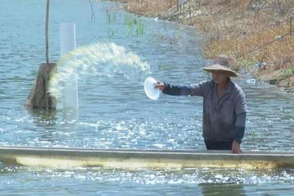 鱼塘一次用多少复合肥肥水，每亩要用7.5公斤