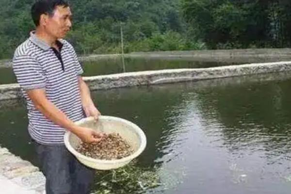 鱼塘一次用多少复合肥肥水，每亩要用7.5公斤