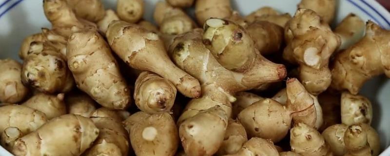 洋姜的栽种方法，繁殖方法以块茎繁殖为主