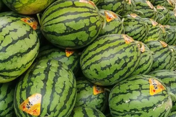 4k西瓜相关介绍，肉厚汁多品质较高