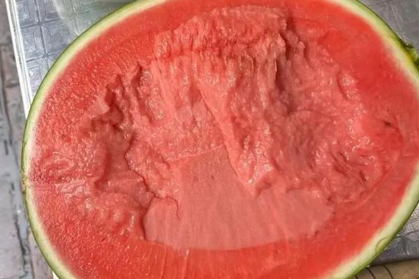 4k西瓜相关介绍，肉厚汁多品质较高