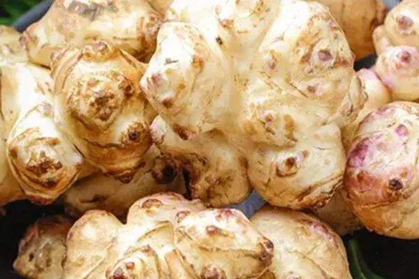 洋姜的栽种方法，繁殖方法以块茎繁殖为主