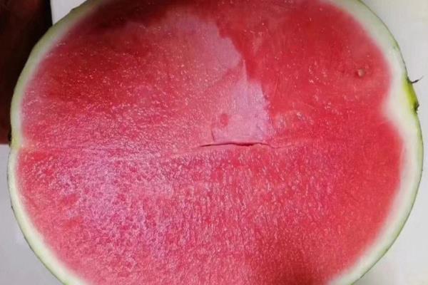 4k西瓜相关介绍，肉厚汁多品质较高