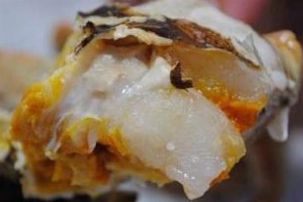 螃蟹如何区分公母，可通过肚脐、蟹黄来观察
