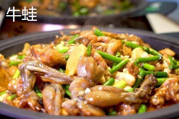 牛蛙是不是青蛙，二者并非同一品种