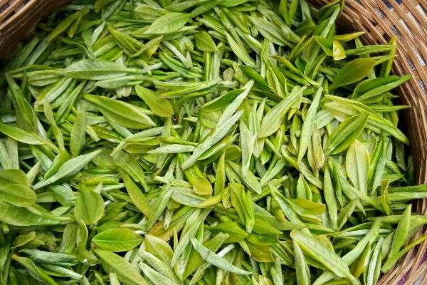 碎银子属于哪种茶，是一种普洱熟茶、品质较高