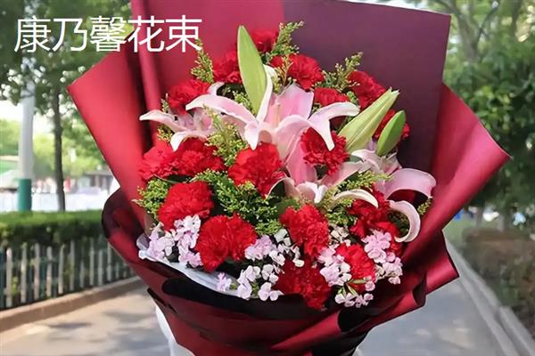 看病人适合送什么花，可以选择康乃馨、满天星等