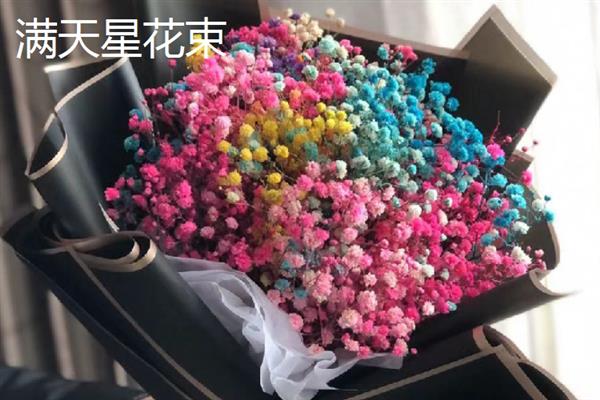 看病人适合送什么花，可以选择康乃馨、满天星等