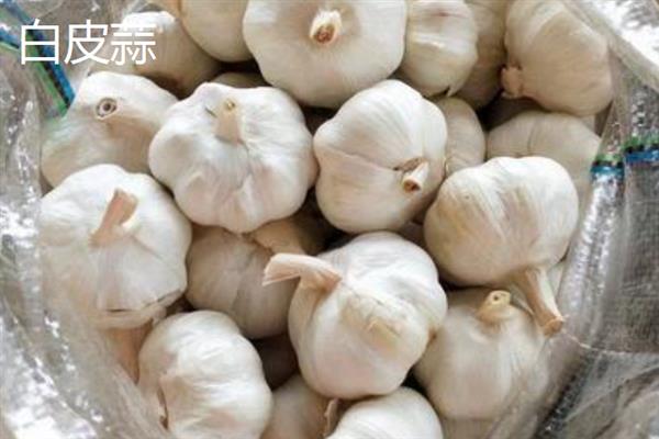 紫皮蒜和白皮蒜的区别，口感和保存方式不同