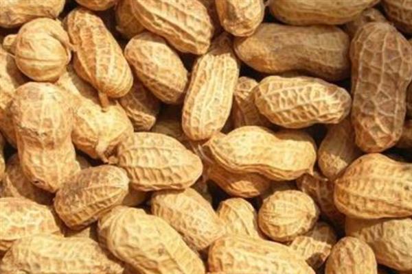 怎么避免花生出现空壳，追施肥料是有效措施