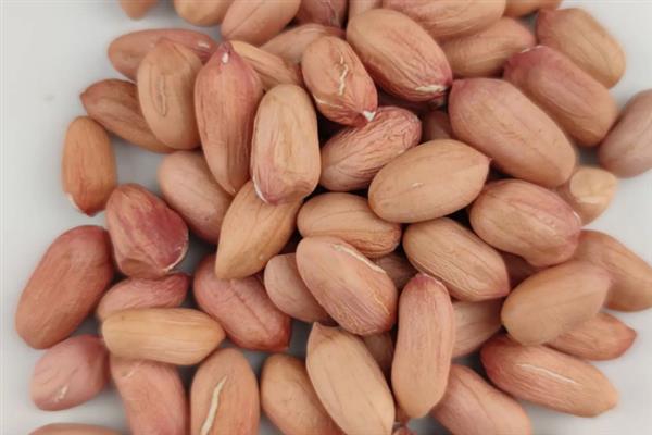 怎么避免花生出现空壳，追施肥料是有效措施
