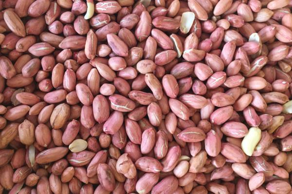 怎么避免花生出现空壳，追施肥料是有效措施
