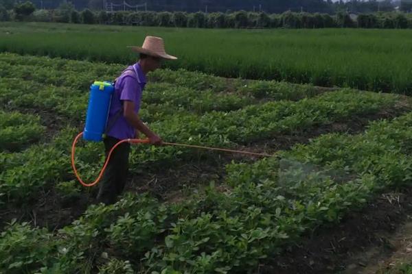 怎么避免花生出现空壳，追施肥料是有效措施