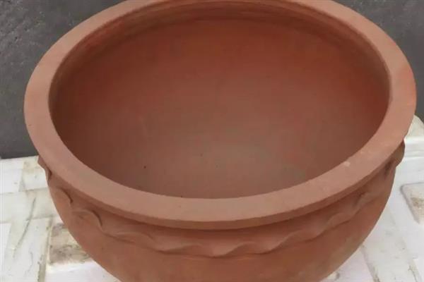 如何制作金樱子盆栽，需要定期对其进行修剪