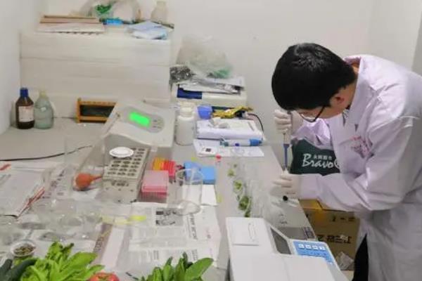 农药残留和污染解决方案，加强对农药使用的指导和培训