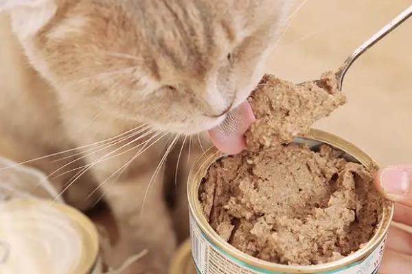 猫罐头与肉类哪个的营养更高，猫对生骨肉的营养吸收率更高