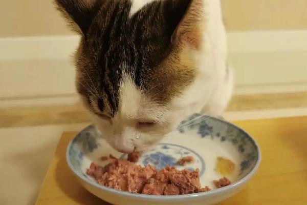 猫罐头与肉类哪个的营养更高，猫对生骨肉的营养吸收率更高