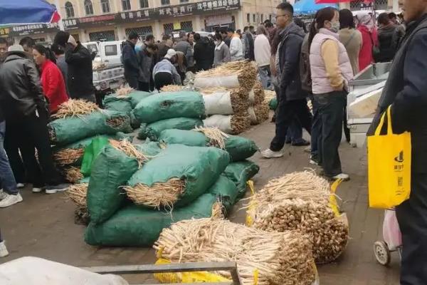 我国农业病虫害的特点，容易频繁且严重发生稻飞虱、稻瘟病等病虫害