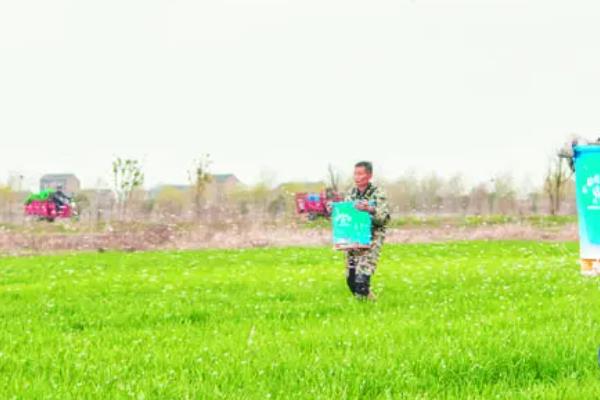 冬小麦对肥料的需求特点，氮、磷、钾三者的比例约为1∶0.4∶1。