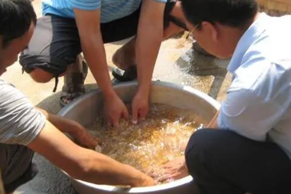处理种子有哪些方法，可以用温汤浸种或药剂浸种