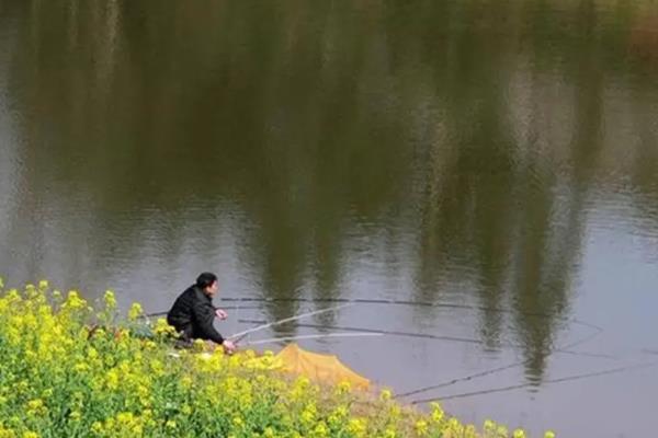 春天钓鲤鱼什么时间好，4月份和5月份都合适