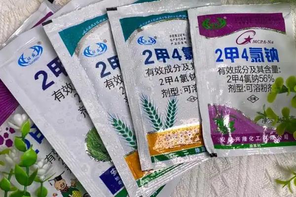 2甲4氯钠打了后对玉米的影响，浓度过高则会影响到玉米的生长发育