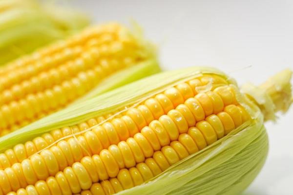 鲜食玉米怎么种植，要与普通玉米保持一定距离