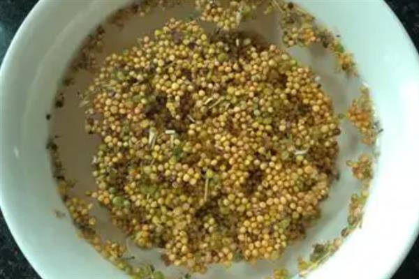 大白菜细菌性黑腐病怎么防治，带菌的种子要浸种消毒
