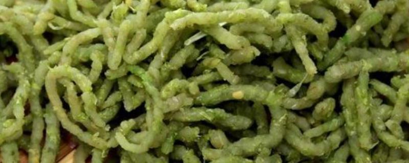 小麦碾转怎么做，首先准备一些新鲜的麦子