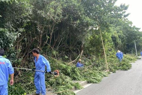 白花夹竹桃有没有毒，白色夹竹桃有毒