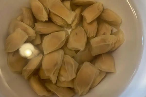 柚子籽什么时候种，春季和秋季均可播种