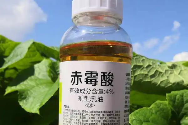 怎么防治植物生长调节剂对作物的药害，切记不要盲目配制