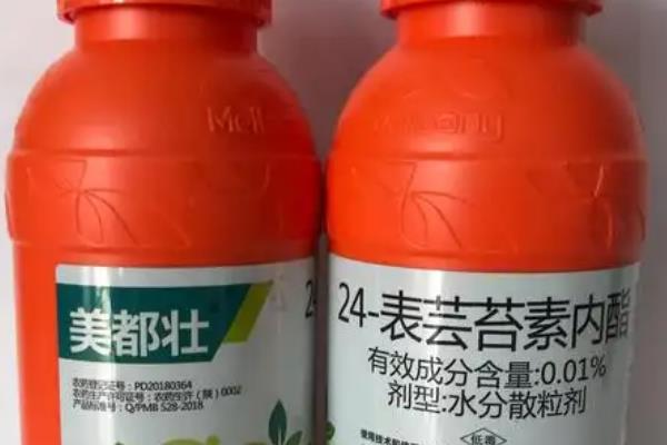 怎么防治植物生长调节剂对作物的药害，切记不要盲目配制