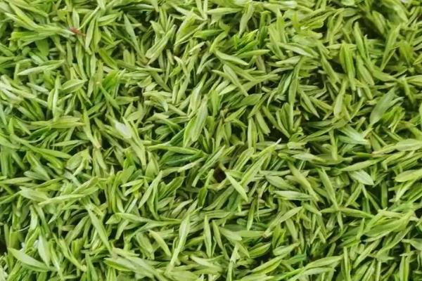 梅州八大名茶介绍，马图茶、南台茶、官田茶等品种均榜上有名