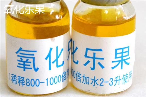 对花卉喷农药要注意什么，敌敌畏会危害梅花、樱花等观赏植物