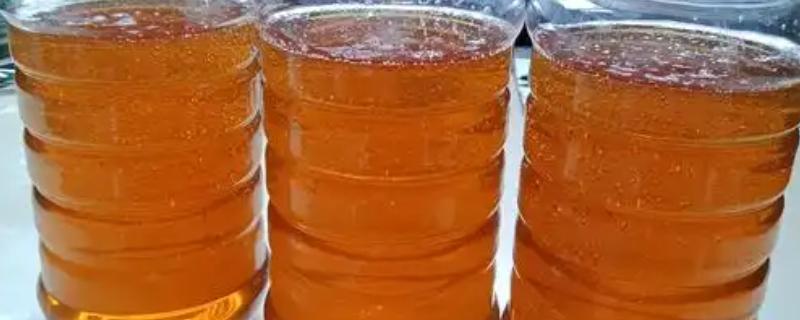 乌桕蜜的简介，由蜜蜂采集乌桕树的花蜜酿制而成