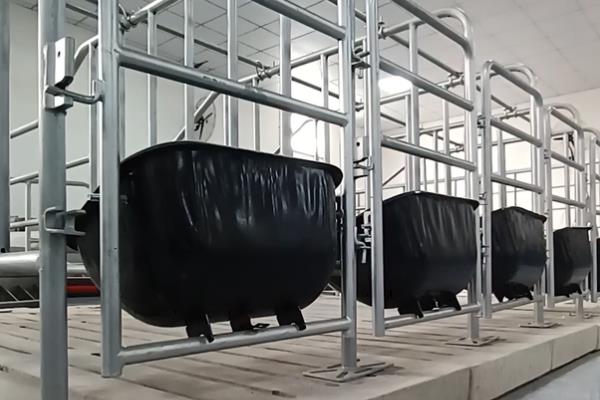 母猪栏的尺寸规格，每头母猪的活动面积为3m2